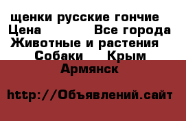 щенки русские гончие › Цена ­ 4 000 - Все города Животные и растения » Собаки   . Крым,Армянск